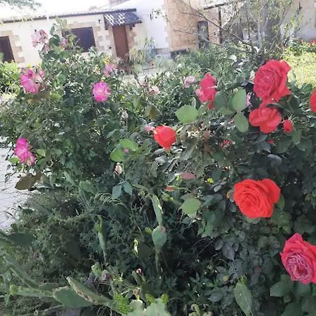 홈스테이 Il Gelso Affitti Brevi *