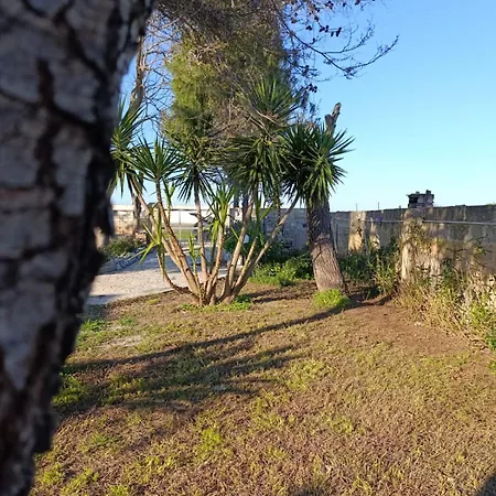 Rum i privatbostad Il Gelso Affitti Brevi *