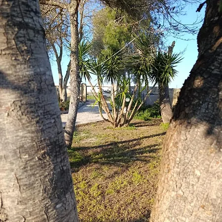 Il Gelso Affitti Brevi ホームステイ *