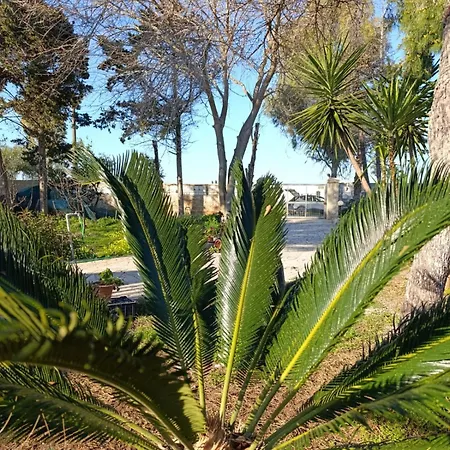 Il Gelso Affitti Brevi