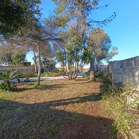 Homestay Il Gelso Affitti Brevi