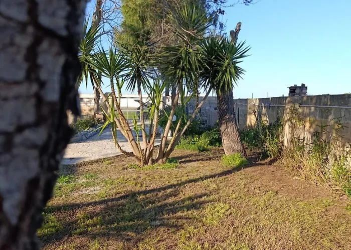 Séjour chez l'habitant Il Gelso Affitti Brevi *