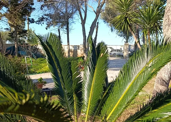 Il Gelso Affitti Brevi